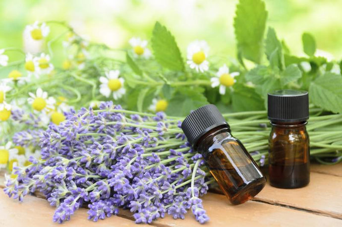 Essential Oils for Skincare