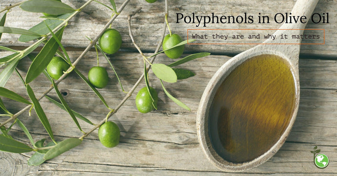 Polyphenols and Antioxidants in Olive Oil