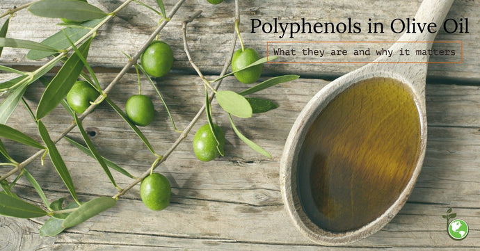Polyphenols in Olive Oil: What They Are, Why They Matter, and How to Find Them