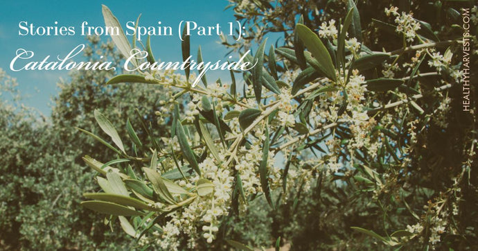 Stories from Spain (Part 1): Catalonia Countryside