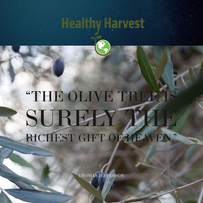 Are Healthy Harvest’s Olives Really That Different?