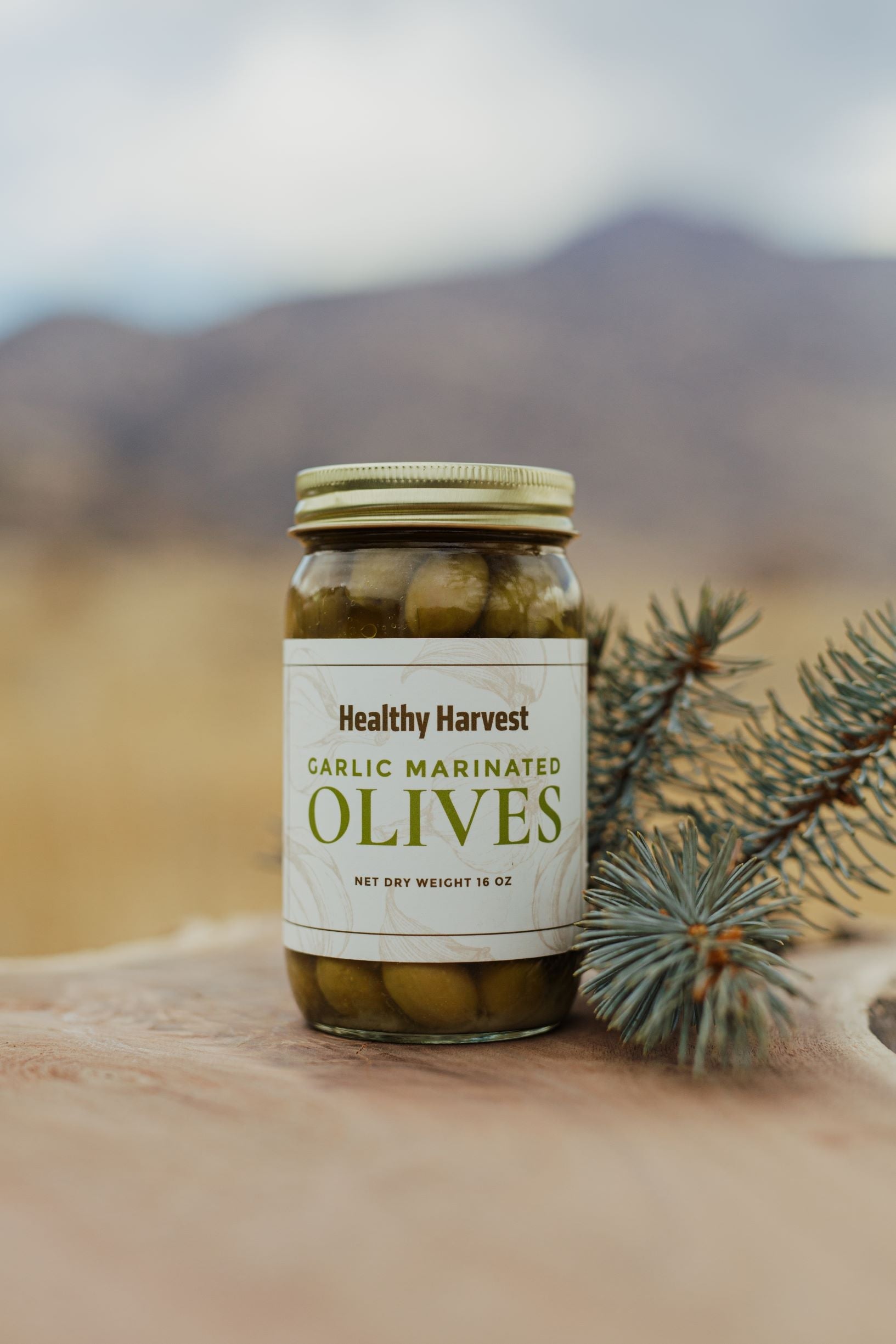 Green Garlic Olives ($13.99)